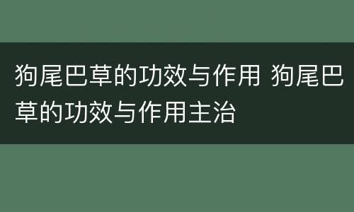 狗尾巴草的功效与作用 狗尾巴草的功效与作用主治