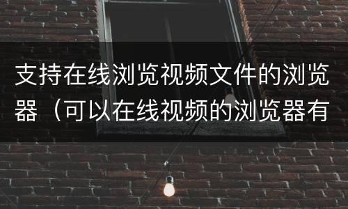 支持在线浏览视频文件的浏览器（可以在线视频的浏览器有哪些）