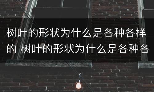 树叶的形状为什么是各种各样的 树叶的形状为什么是各种各样的20字