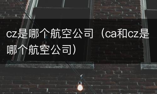 cz是哪个航空公司（ca和cz是哪个航空公司）