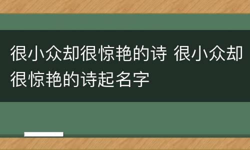 很小众却很惊艳的诗 很小众却很惊艳的诗起名字