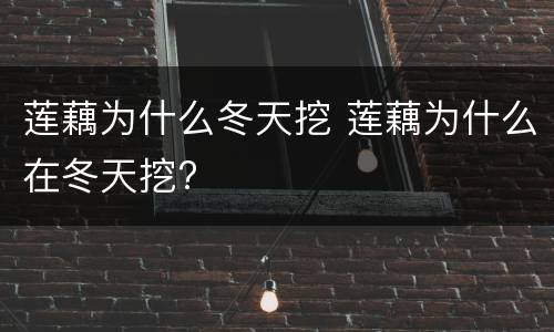 莲藕为什么冬天挖 莲藕为什么在冬天挖?