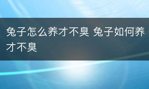 兔子怎么养才不臭 兔子如何养才不臭