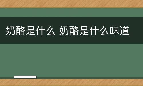 奶酪是什么 奶酪是什么味道