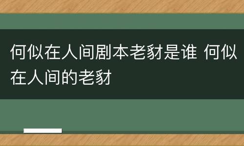 何似在人间剧本老豺是谁 何似在人间的老豺