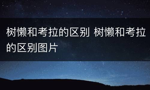 树懒和考拉的区别 树懒和考拉的区别图片