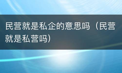 民营就是私企的意思吗（民营就是私营吗）