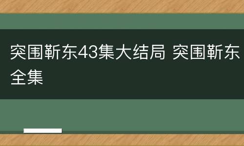 突围靳东43集大结局 突围靳东全集