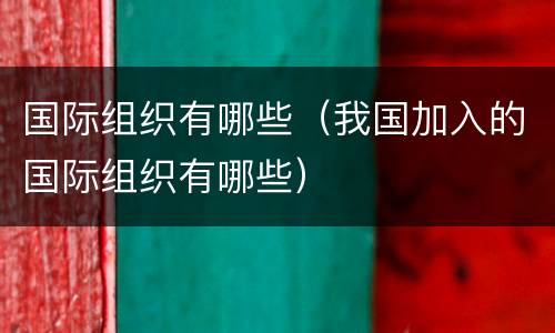 国际组织有哪些（我国加入的国际组织有哪些）