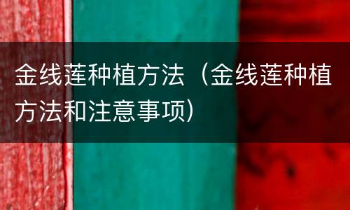 金线莲种植方法（金线莲种植方法和注意事项）