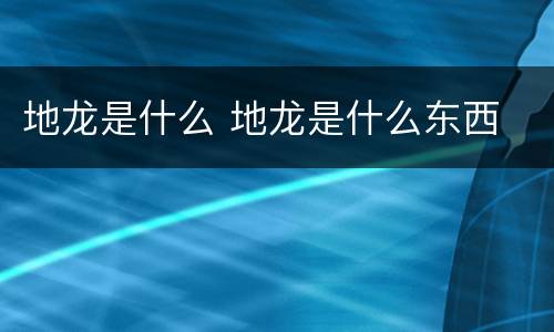 地龙是什么 地龙是什么东西