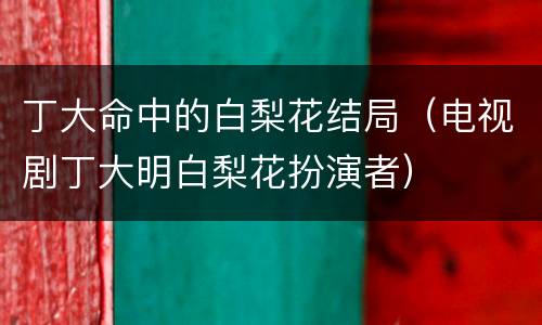 丁大命中的白梨花结局（电视剧丁大明白梨花扮演者）