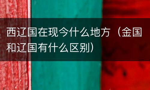 西辽国在现今什么地方（金国和辽国有什么区别）