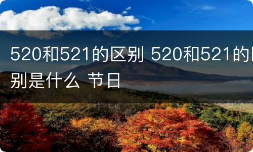 520和521的区别 520和521的区别是什么 节日