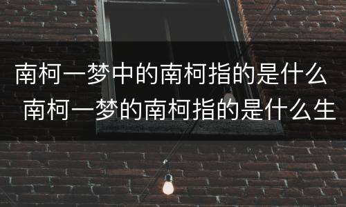 南柯一梦中的南柯指的是什么 南柯一梦的南柯指的是什么生肖