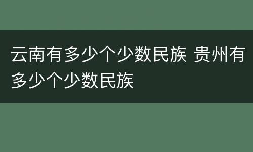 云南有多少个少数民族 贵州有多少个少数民族