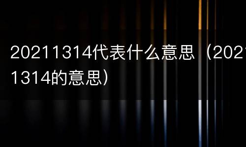 20211314代表什么意思（20211314的意思）