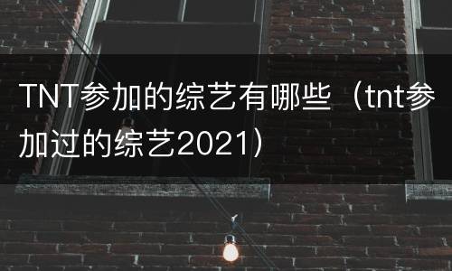 TNT参加的综艺有哪些（tnt参加过的综艺2021）