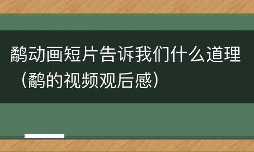 鹬动画短片告诉我们什么道理（鹬的视频观后感）