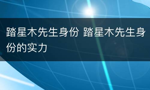 踏星木先生身份 踏星木先生身份的实力