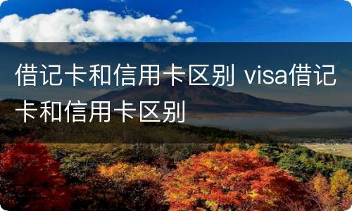 借记卡和信用卡区别 visa借记卡和信用卡区别