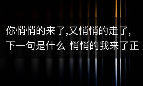 你悄悄的来了,又悄悄的走了,下一句是什么 悄悄的我来了正如我悄悄的走下一句