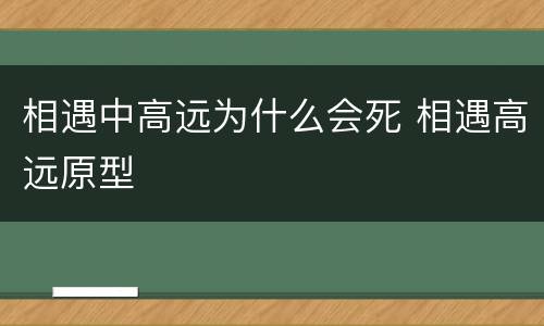 相遇中高远为什么会死 相遇高远原型