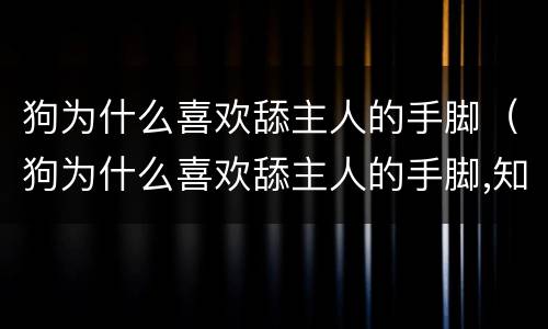 狗为什么喜欢舔主人的手脚（狗为什么喜欢舔主人的手脚,知乎）