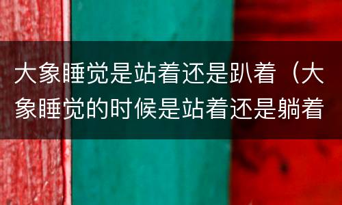 大象睡觉是站着还是趴着（大象睡觉的时候是站着还是躺着）