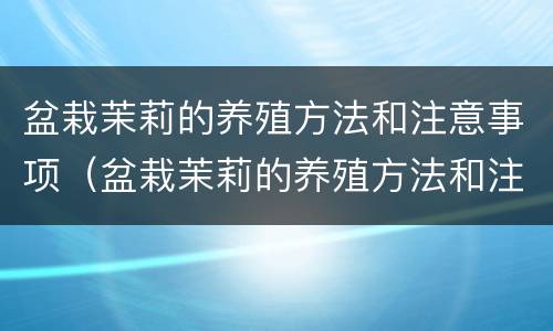 盆栽茉莉的养殖方法和注意事项（盆栽茉莉的养殖方法和注意事项修剪）