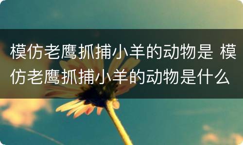 模仿老鹰抓捕小羊的动物是 模仿老鹰抓捕小羊的动物是什么意思