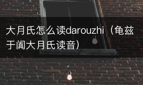 大月氏怎么读darouzhi（龟兹于阗大月氏读音）