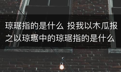 琼琚指的是什么 投我以木瓜报之以琼琚中的琼琚指的是什么