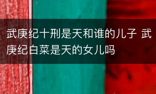 武庚纪十刑是天和谁的儿子 武庚纪白菜是天的女儿吗