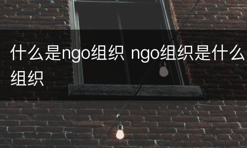 什么是ngo组织 ngo组织是什么组织