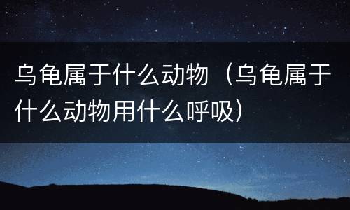 乌龟属于什么动物（乌龟属于什么动物用什么呼吸）