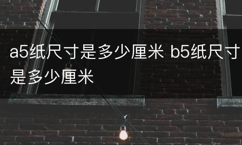 a5纸尺寸是多少厘米 b5纸尺寸是多少厘米