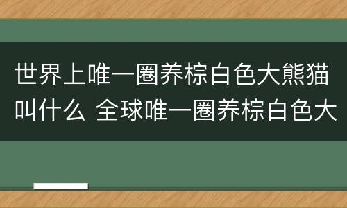 世界上唯一圈养棕白色大熊猫叫什么 全球唯一圈养棕白色大熊猫是什么