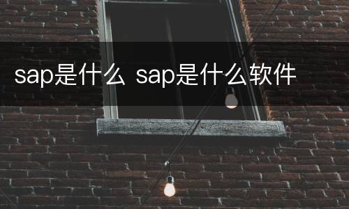 sap是什么 sap是什么软件