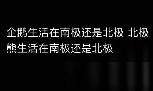 企鹅生活在南极还是北极 北极熊生活在南极还是北极