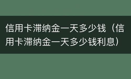 信用卡滞纳金一天多少钱（信用卡滞纳金一天多少钱利息）