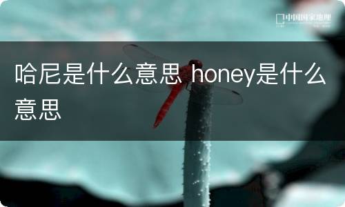 哈尼是什么意思 honey是什么意思