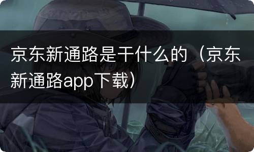 京东新通路是干什么的（京东新通路app下载）