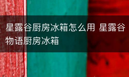 星露谷厨房冰箱怎么用 星露谷物语厨房冰箱