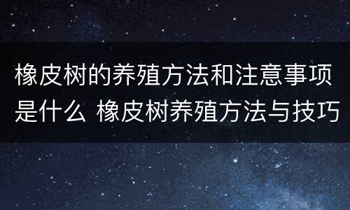 橡皮树的养殖方法和注意事项是什么 橡皮树养殖方法与技巧