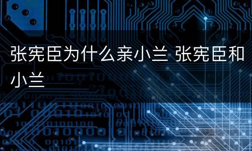 张宪臣为什么亲小兰 张宪臣和小兰