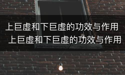 上巨虚和下巨虚的功效与作用 上巨虚和下巨虚的功效与作用区别