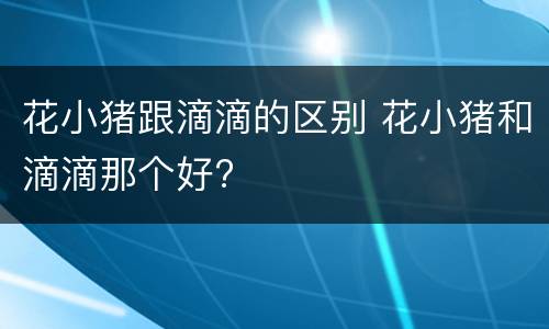 花小猪跟滴滴的区别 花小猪和滴滴那个好?