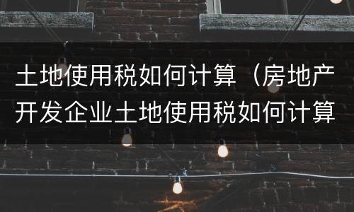 土地使用税如何计算（房地产开发企业土地使用税如何计算）