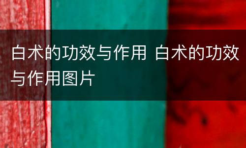 白术的功效与作用 白术的功效与作用图片